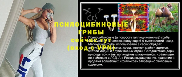 mdpv Володарск