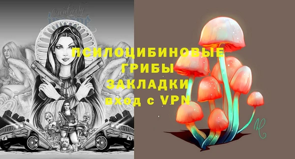 сатива Бугульма