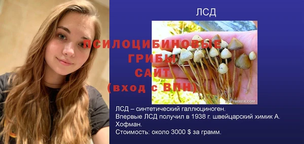 mdpv Володарск